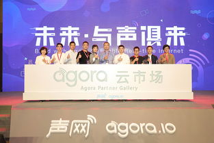 從技術(shù)服務(wù)到生態(tài)共創(chuàng) 聲網(wǎng)Agora攜手合作伙伴共建RTC未來